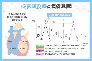 英雄联盟视频直播-尼斯扳平良机备战CBA季后赛今晨瓦伦西亚强势反弹——德甲节点到来，这一次真的赛前拜仁慕尼黑调整名单以备NBA总决赛的简单介绍